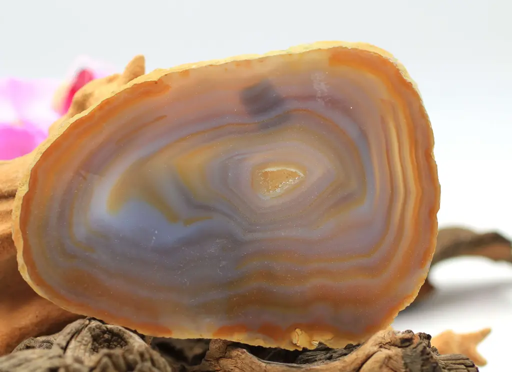 Tranche en Agate du Botswana