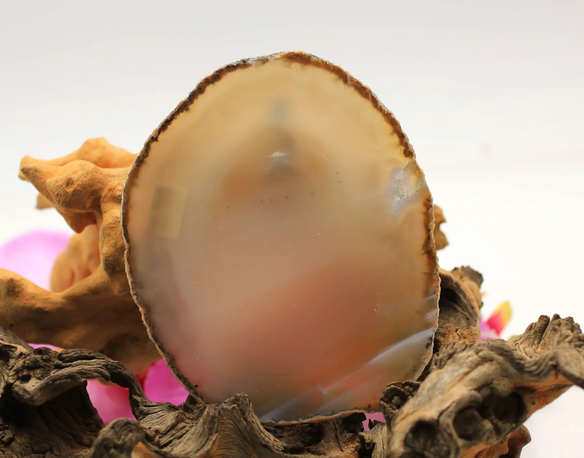 Tranche en Agate du Botswana