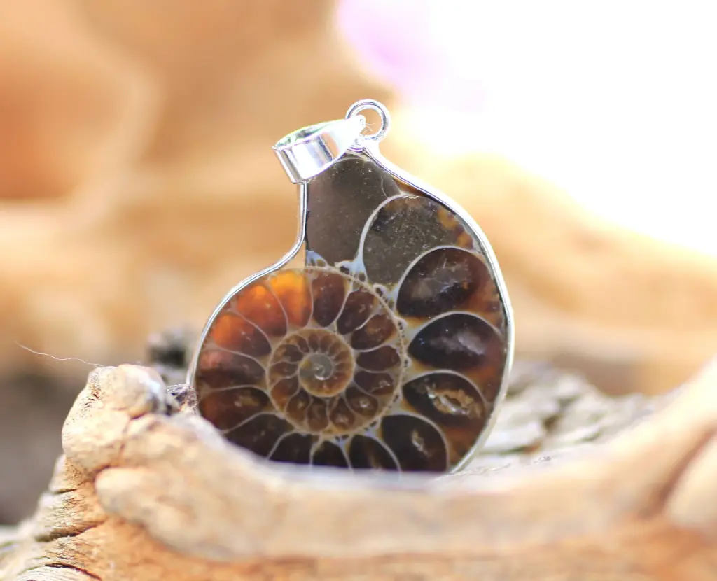 Pendentif en Ammonite