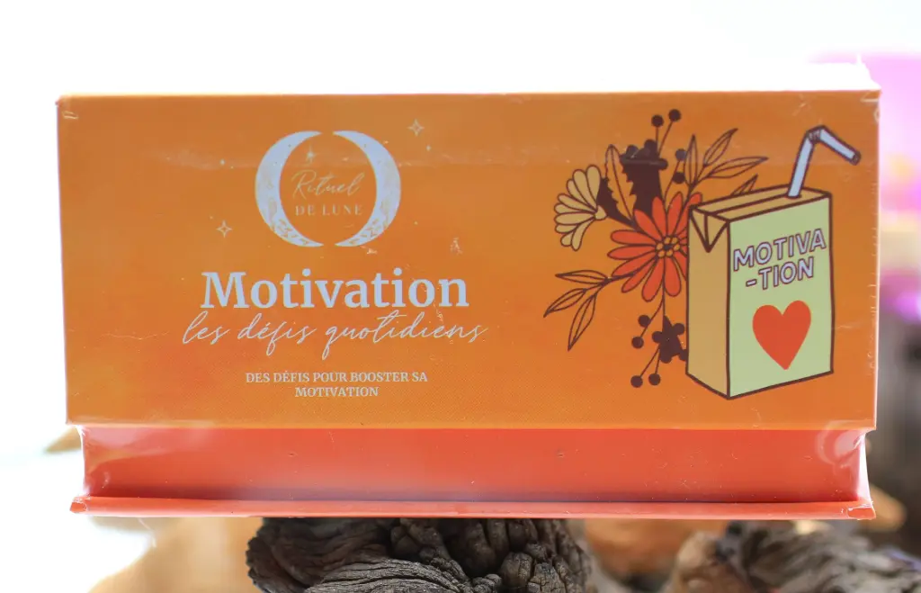 Motivation : Les défis quotidiens