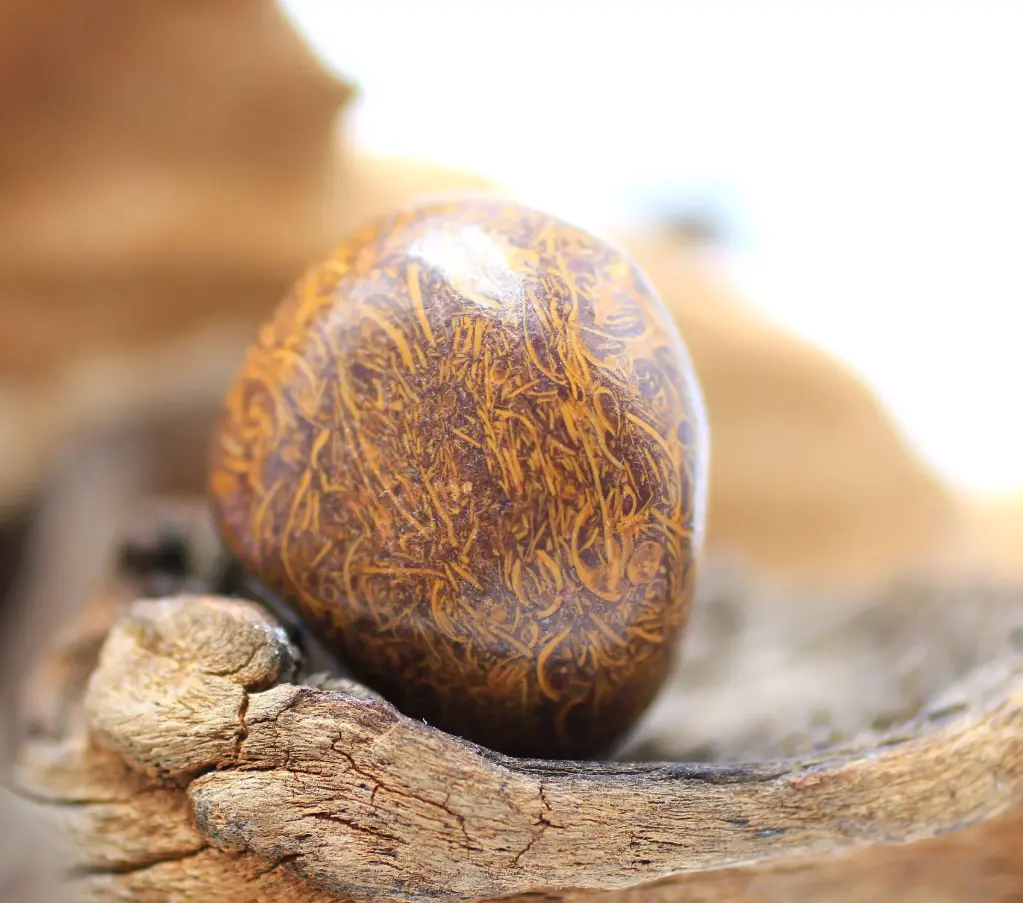 Jaspe peau de serpent roulé