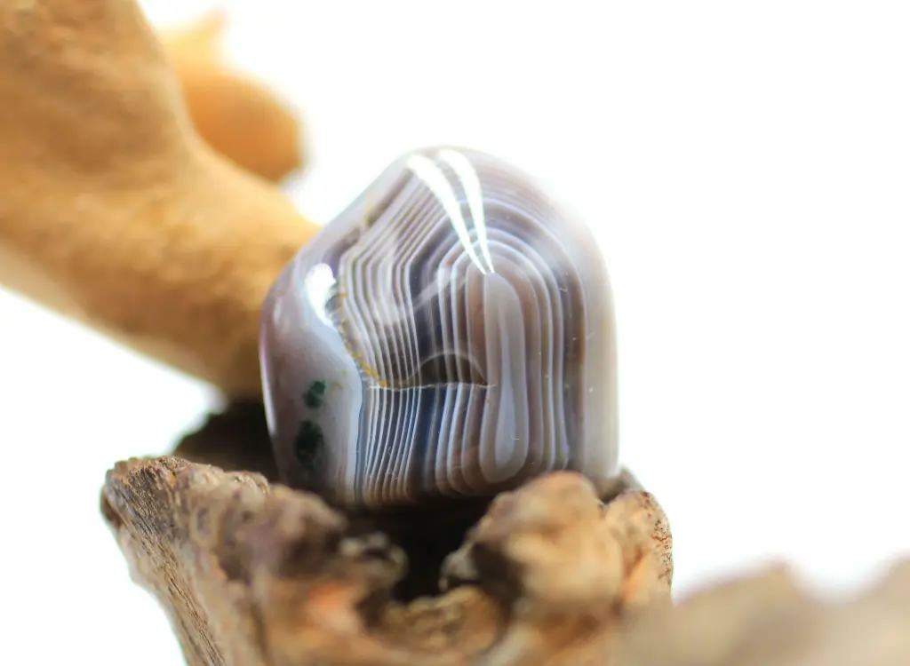 Agate du Botswana roulée