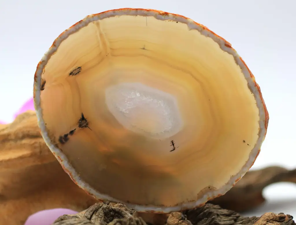 Tranche en Agate du Botswana et Agate dendritique