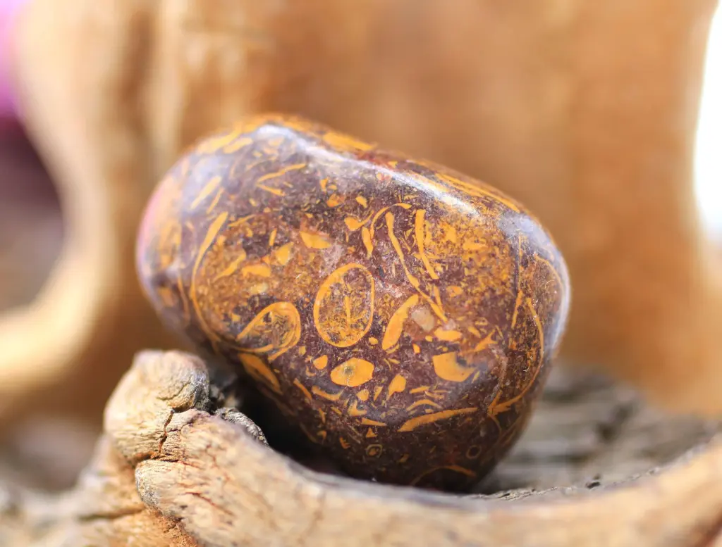 Jaspe peau de serpent roulé