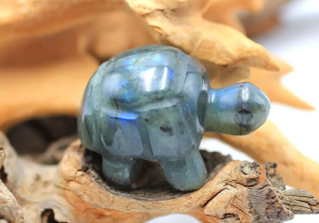 Tortue en Labradorite