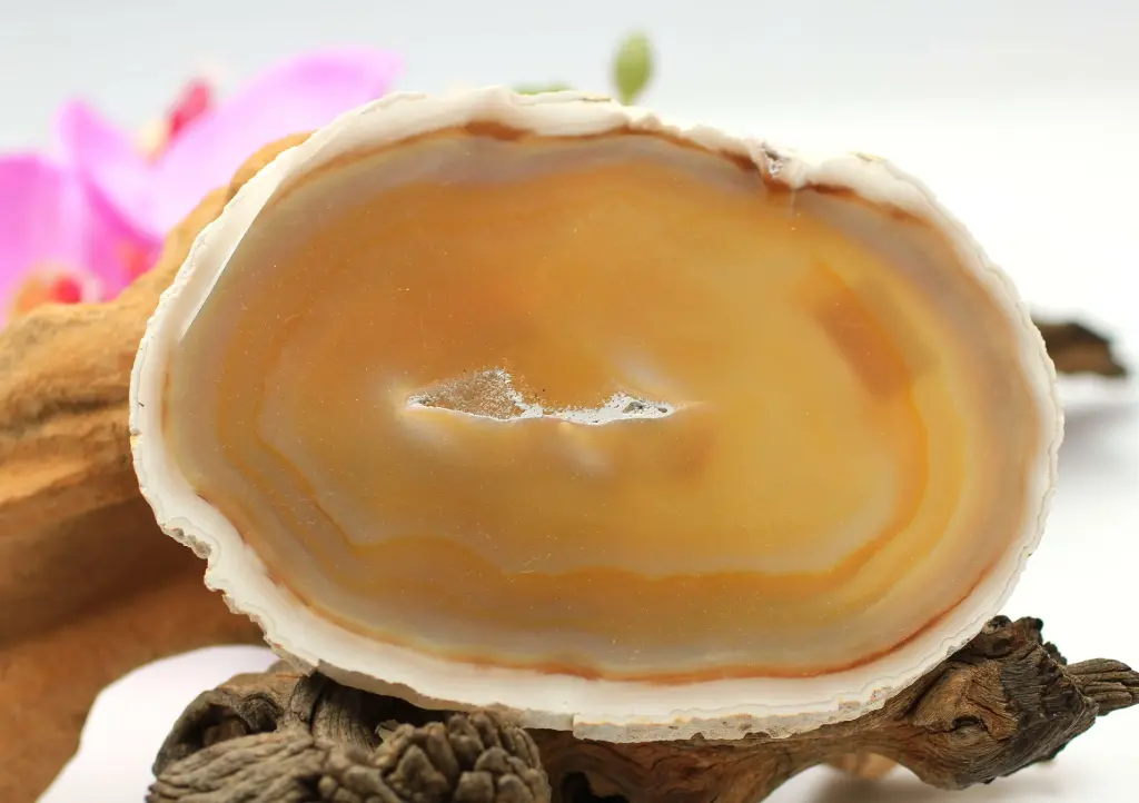 Tranche en Agate du Botswana