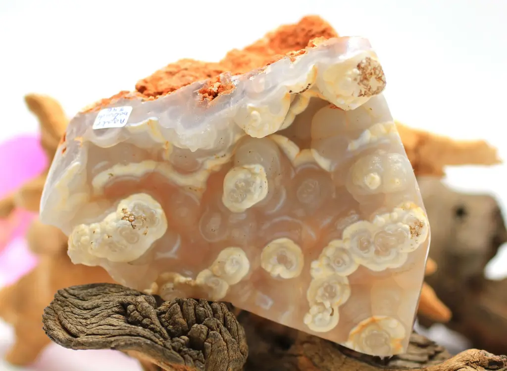 Agate botryoïde brute