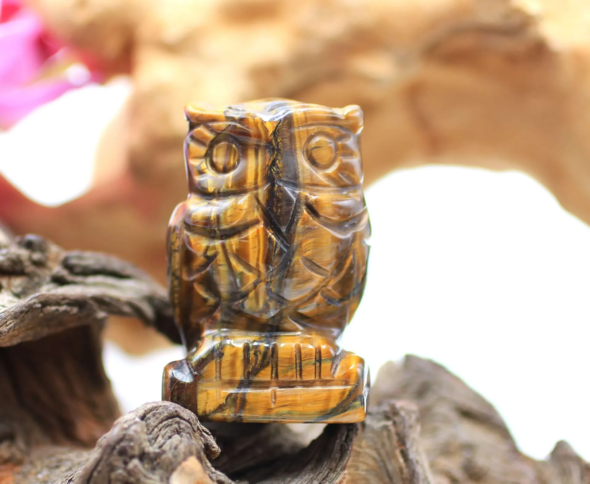 Hibou en Œil de tigre