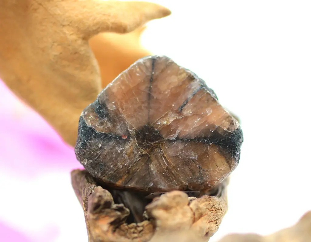 Tranche en Chiastolite