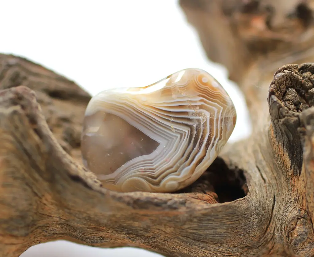 Agate du Botswana roulée