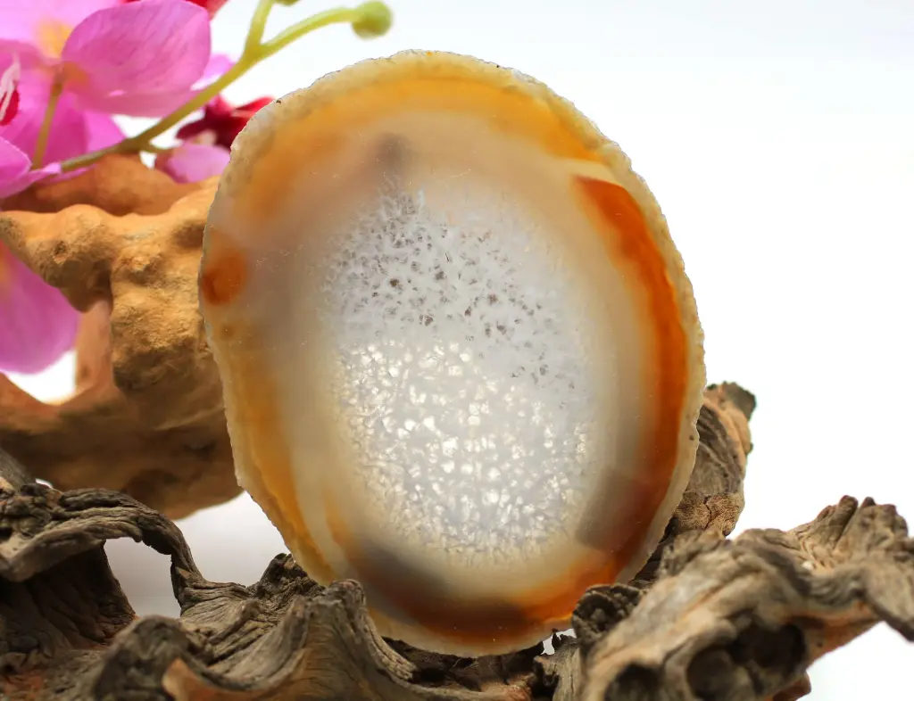 Tranche en Agate du Botswana