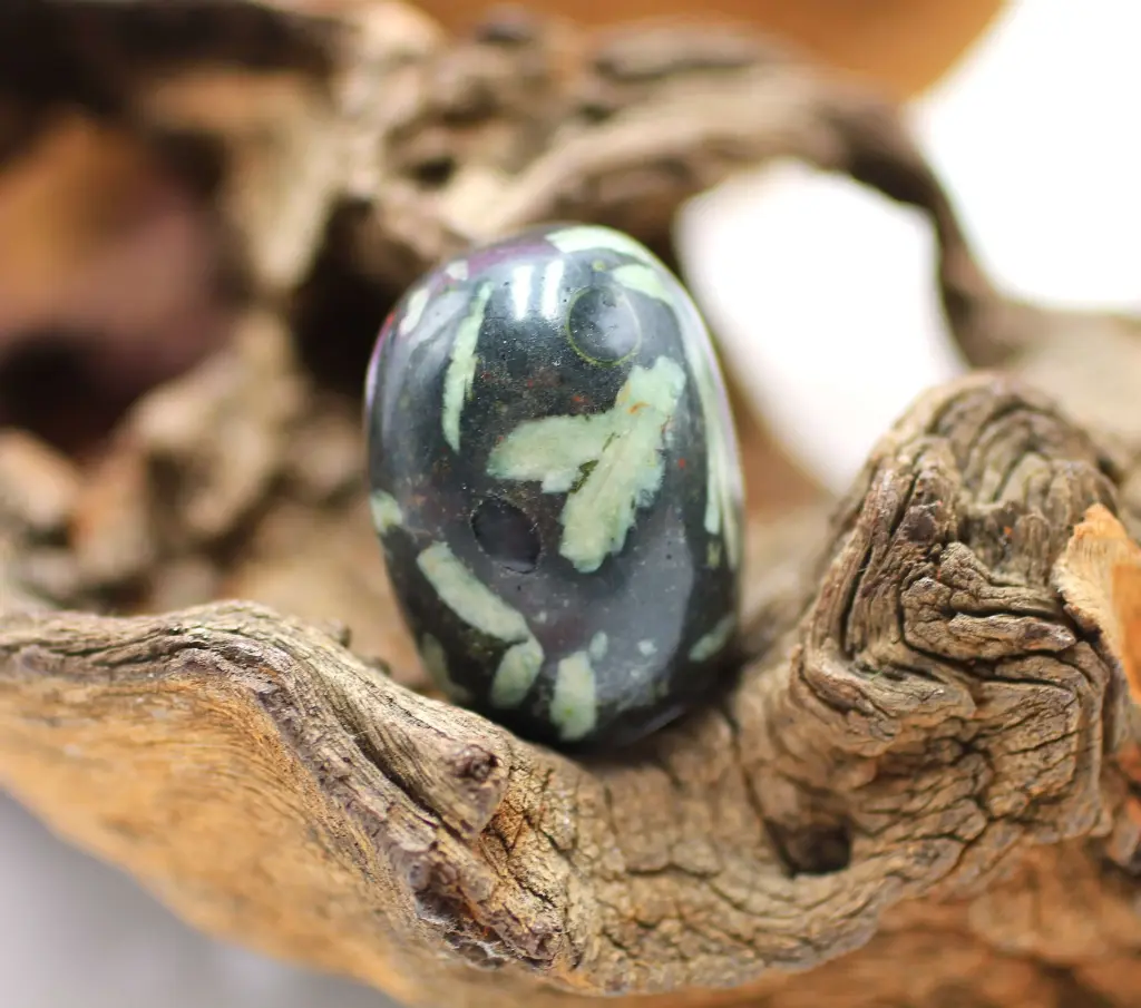 Chrysanthème roulée