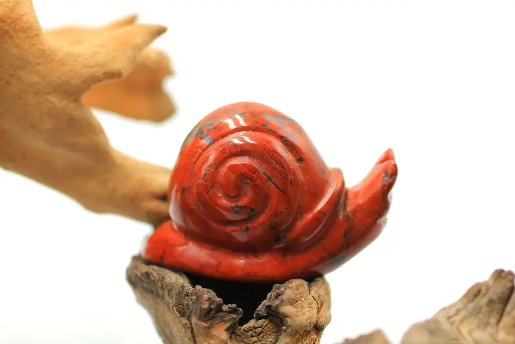 Escargot en Jaspe rouge