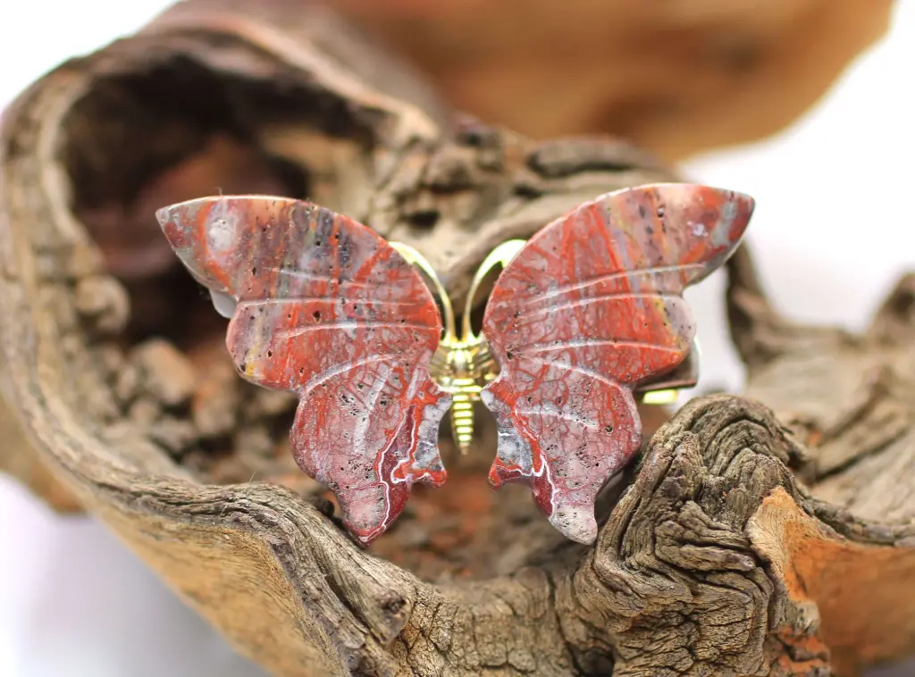 Pince à Cheveux en Agate crazy lace rouge