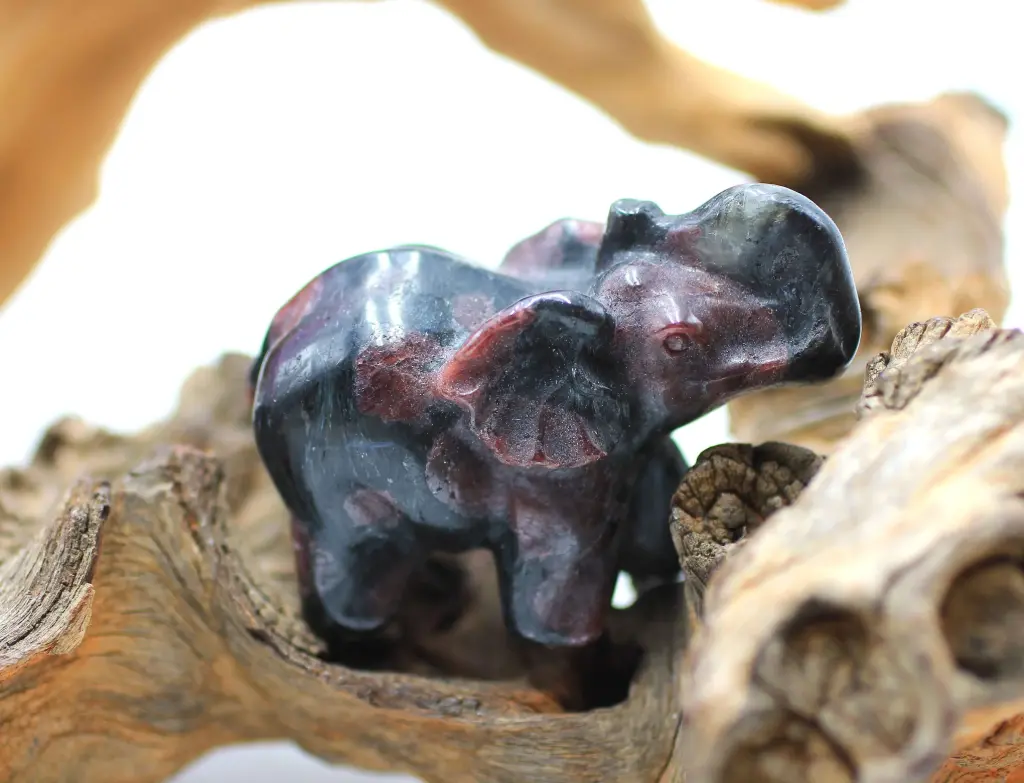 Eléphant en Grenat almandin sur Arfvedsonite