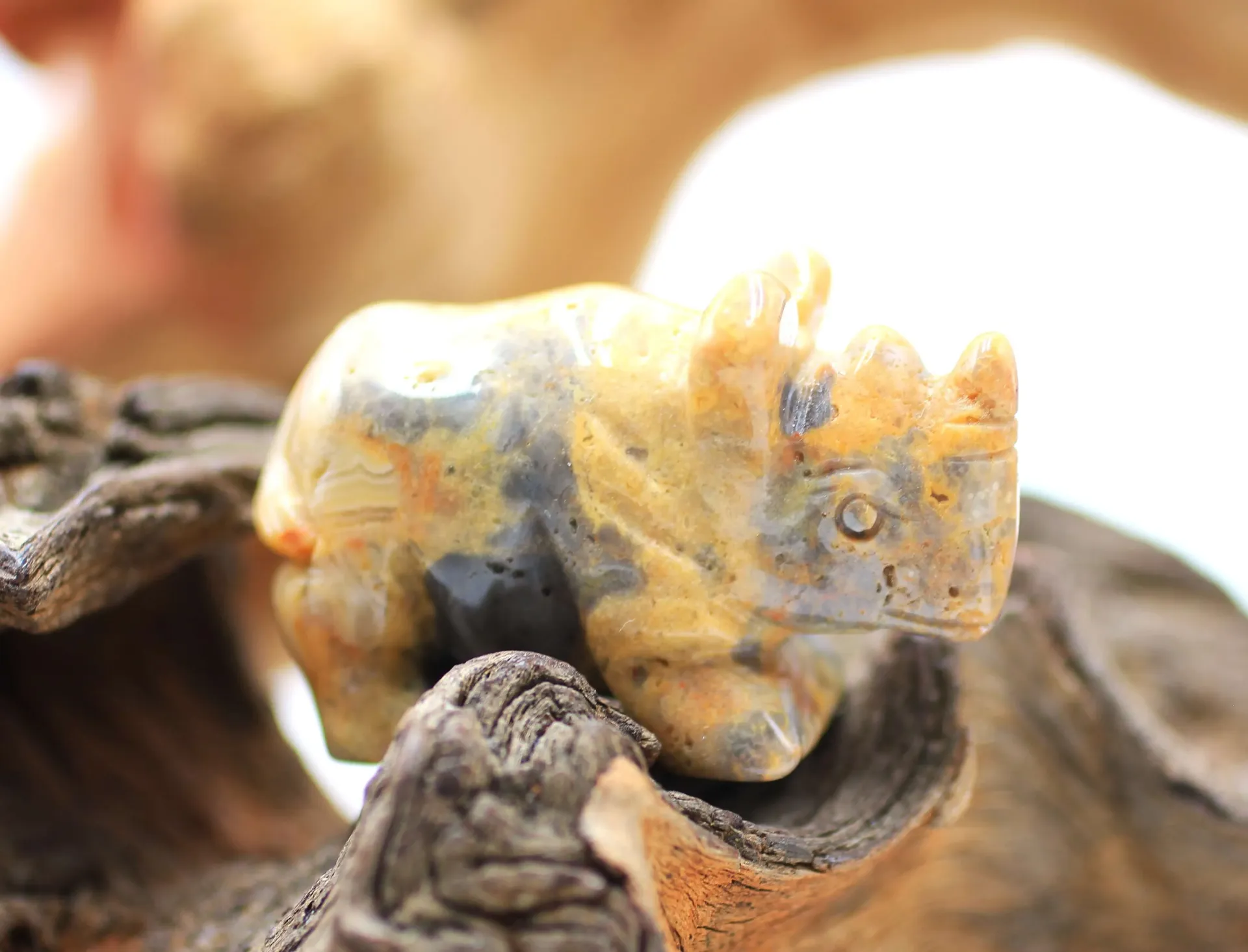 Rhinoceros en Agate crazy lace jaune