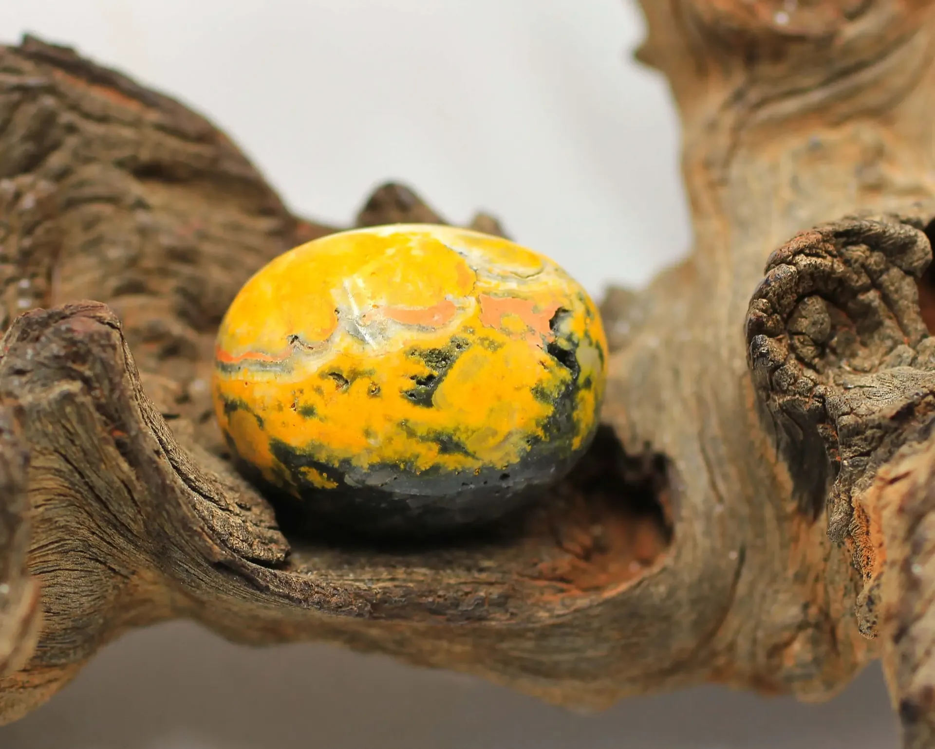 Jaspe bourdon roulé