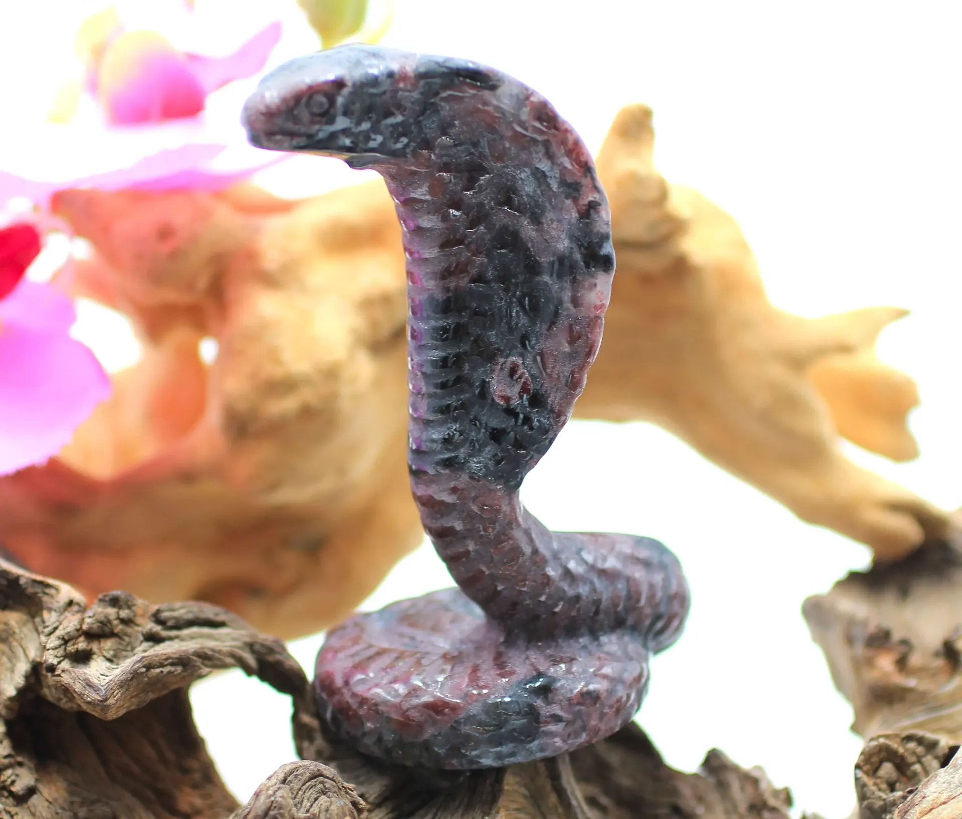 Cobra dressé en Astrophyllite et Grenat almandin