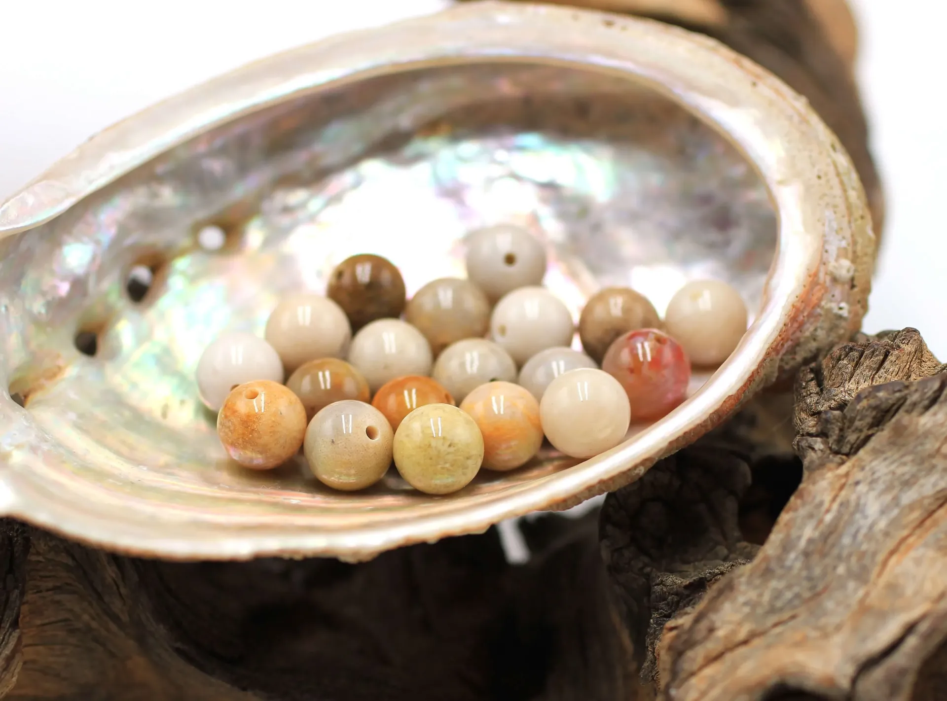 Perle 8mm en Corail fossile