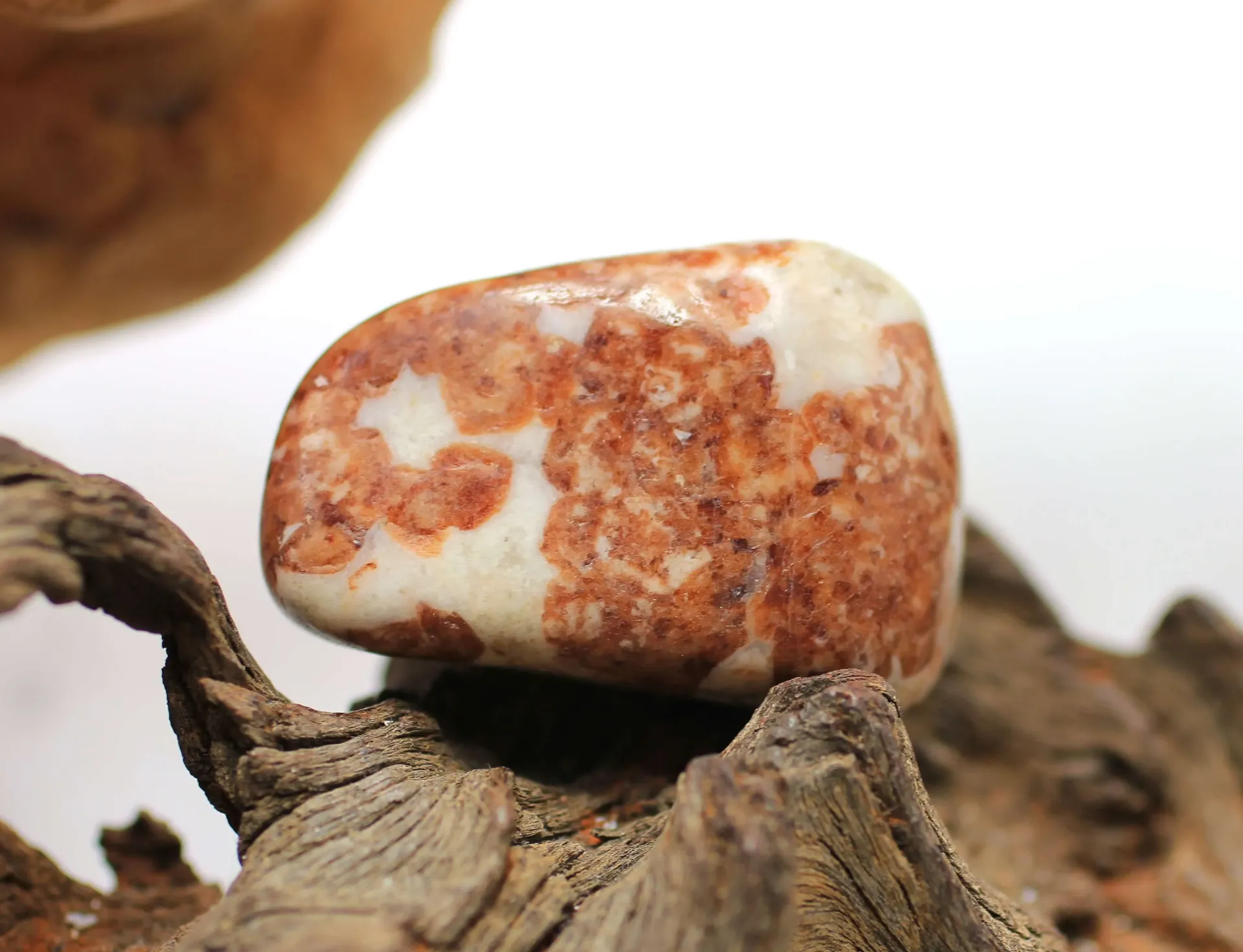 Wollastonite roulée