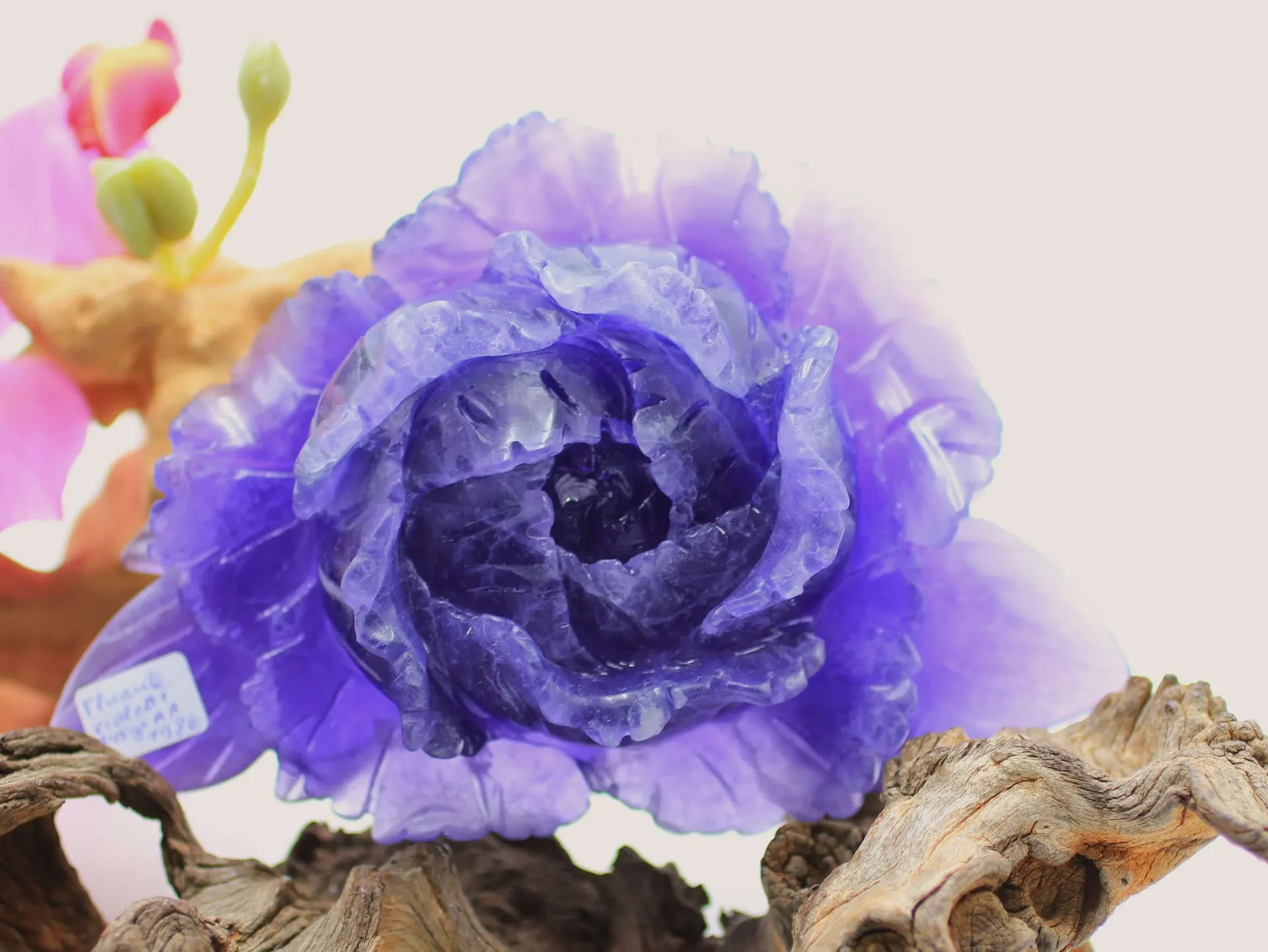 Pivoine en Fluorite violette