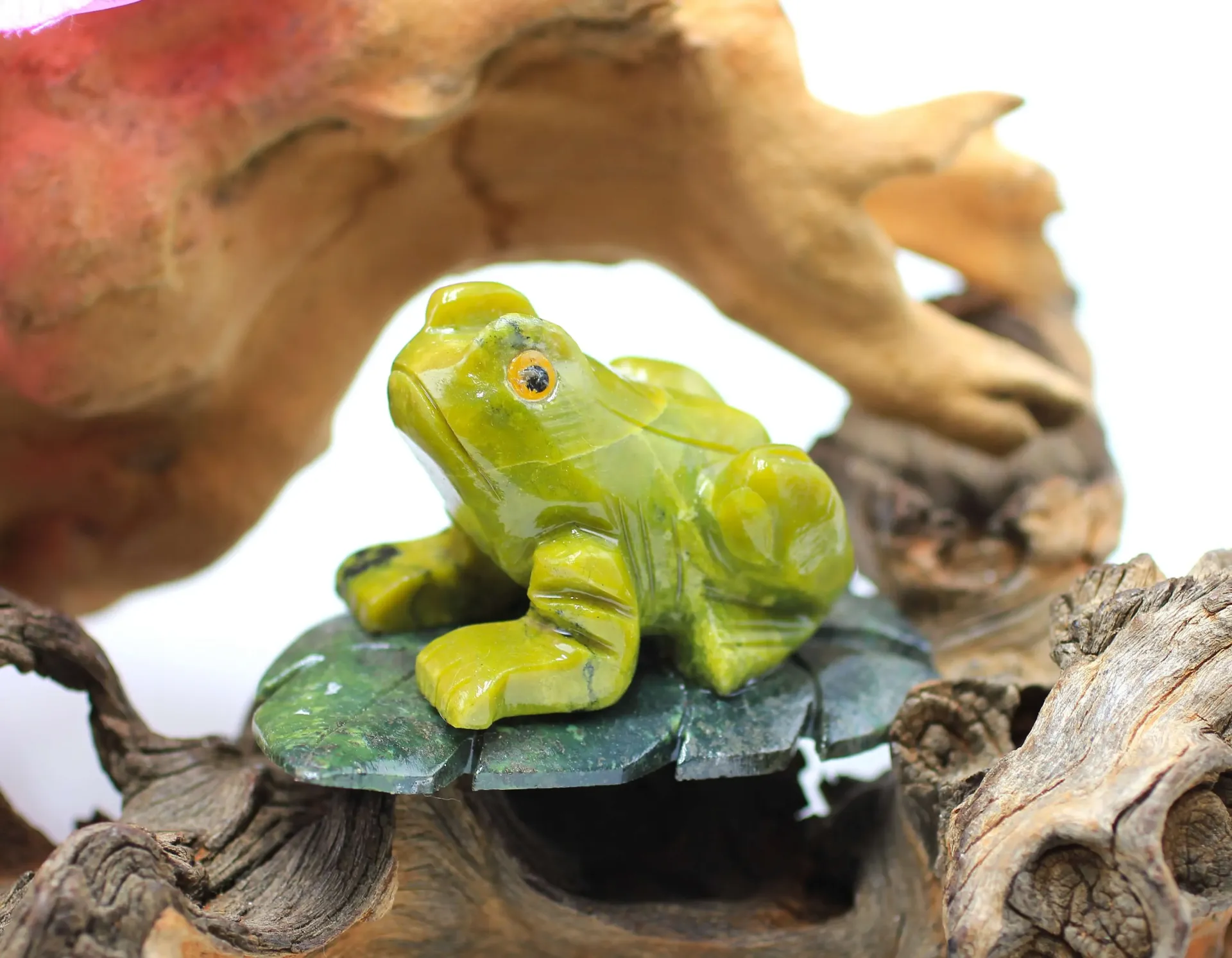 Grenouille en Serpentine