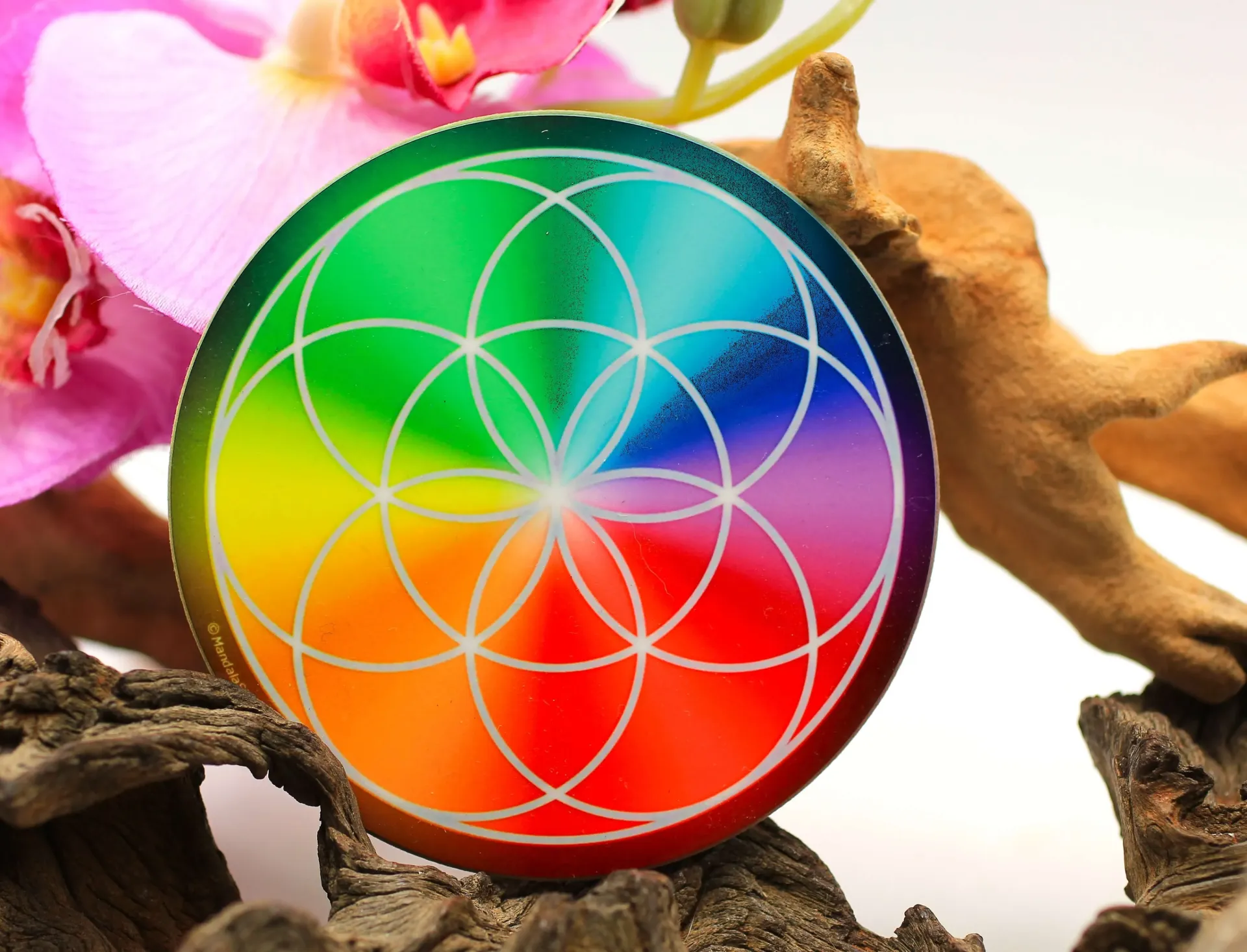 Disque harmonisant en bois Graine de vie et 7 chakras