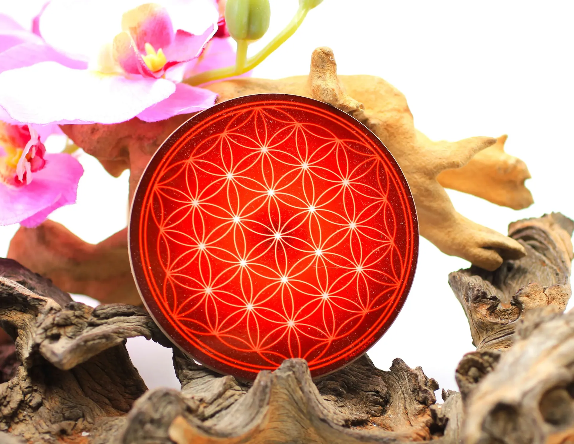 Disque harmonisant en bois Fleur de vie et Chakra racine