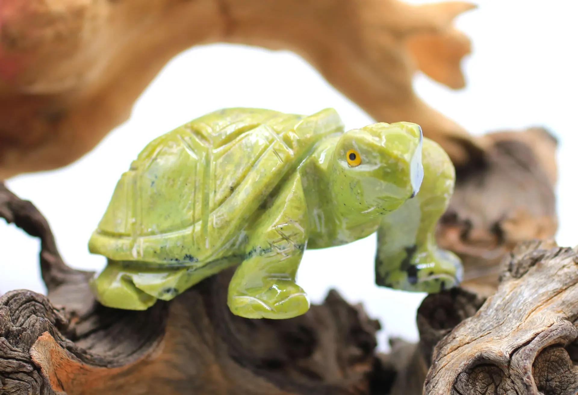 Tortue en Serpentine