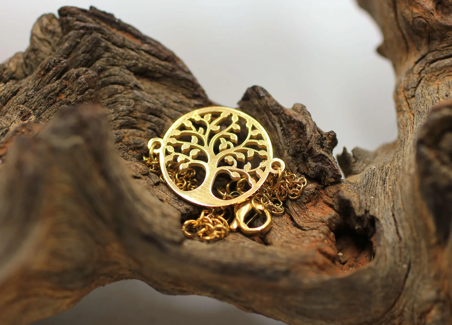 Bracelet Arbre de vie en Acier plaqué Or