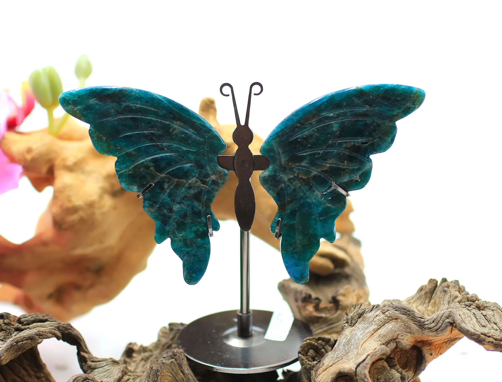 Papillon sur pied en Apatite bleue