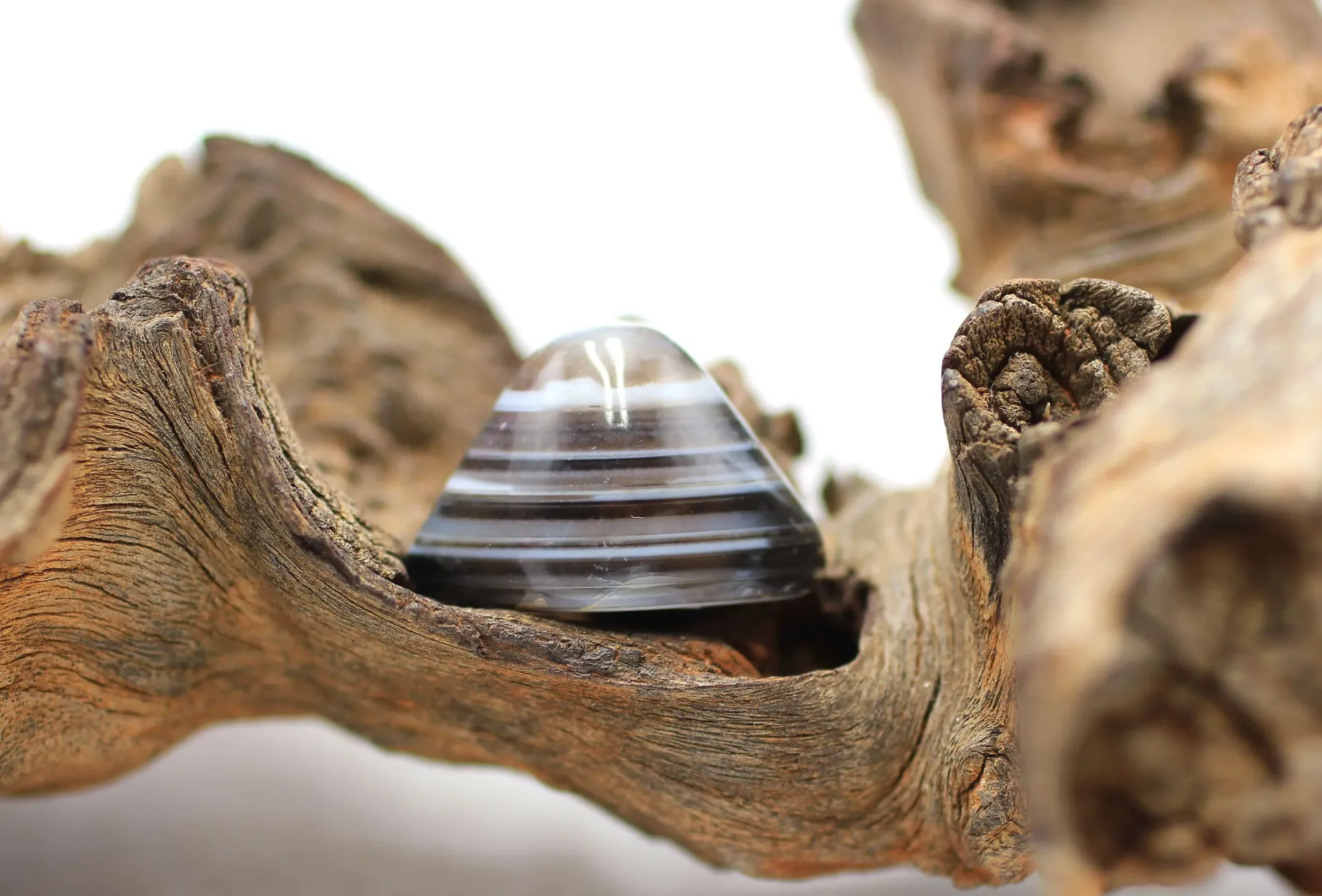Agate œil roulé 'Œil de Shiva'