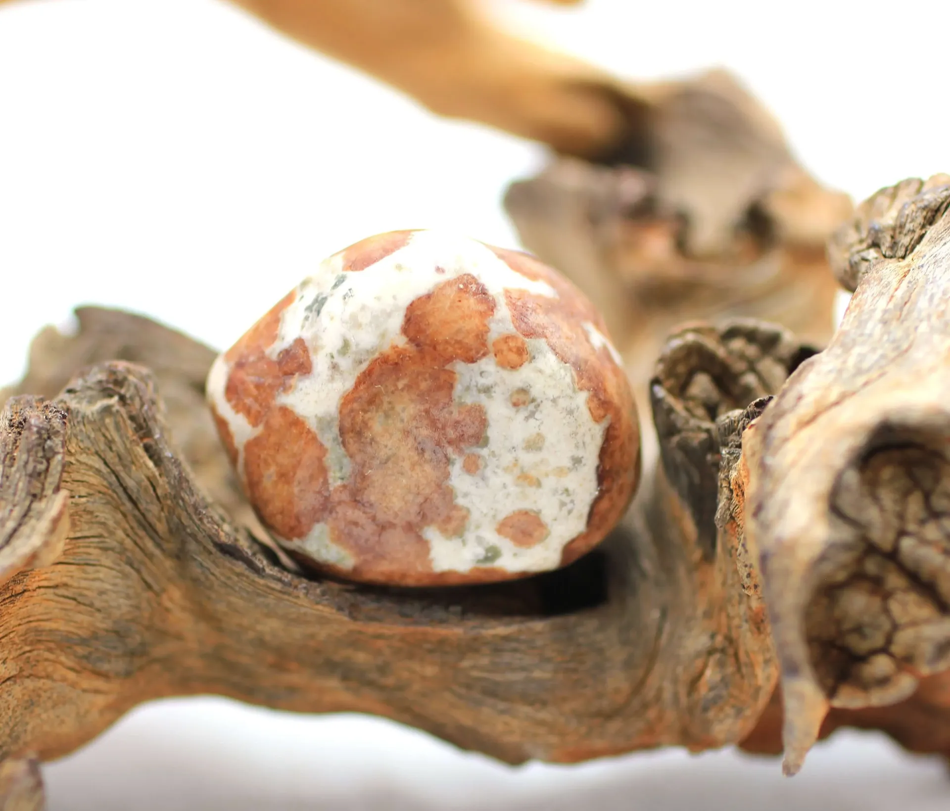 Wollastonite roulée