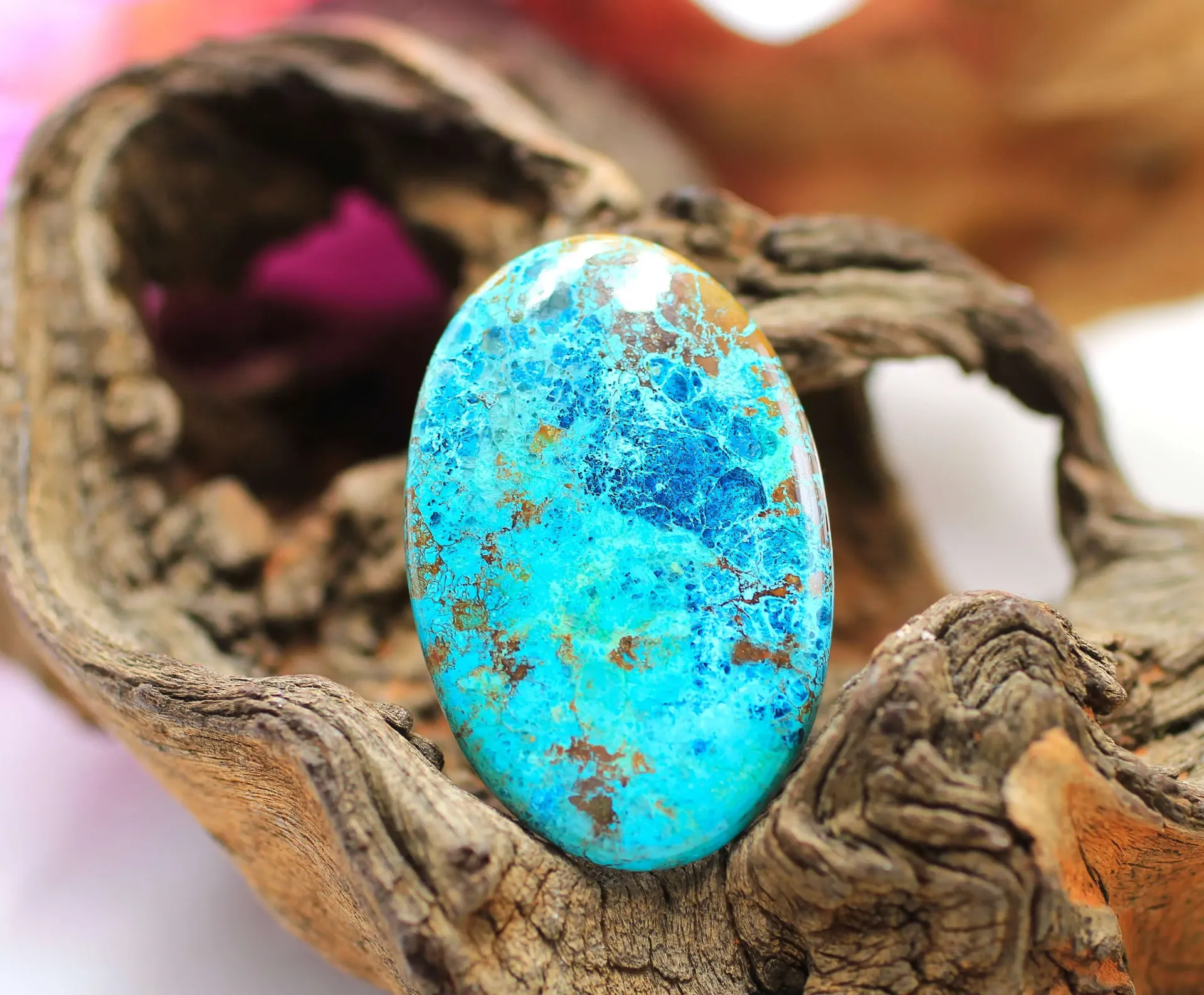 Cabochon en Chrysocolle-Shattuckite