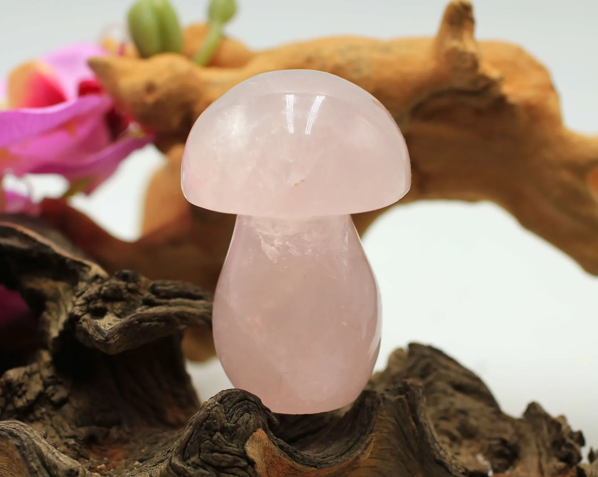 Champignon en Quartz rose