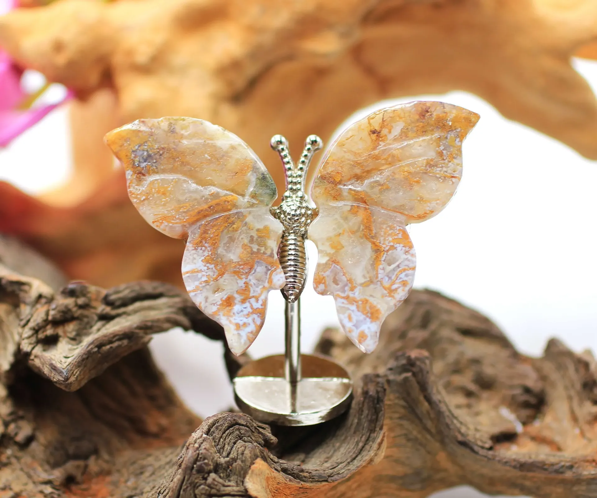 Papillon sur pied en Jaspe océan