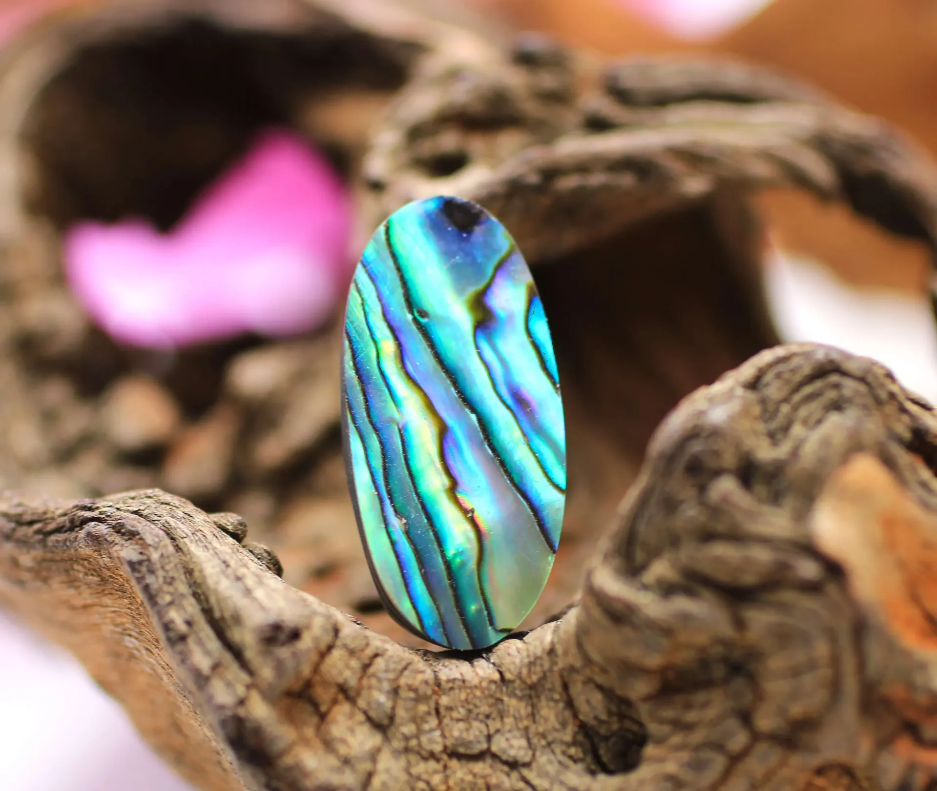 Cabochon en Nacre d'Abalone