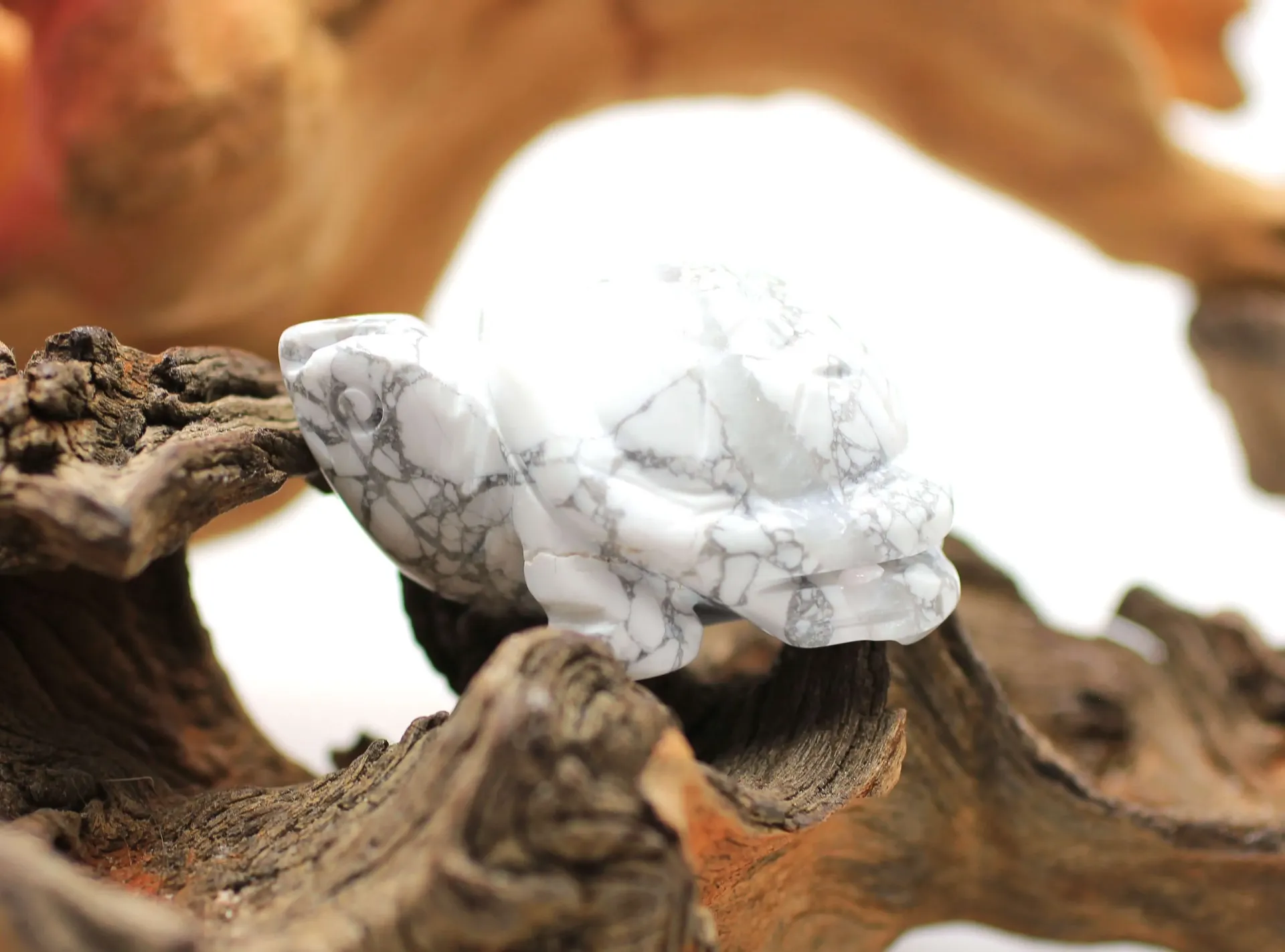 Tortue en Howlite