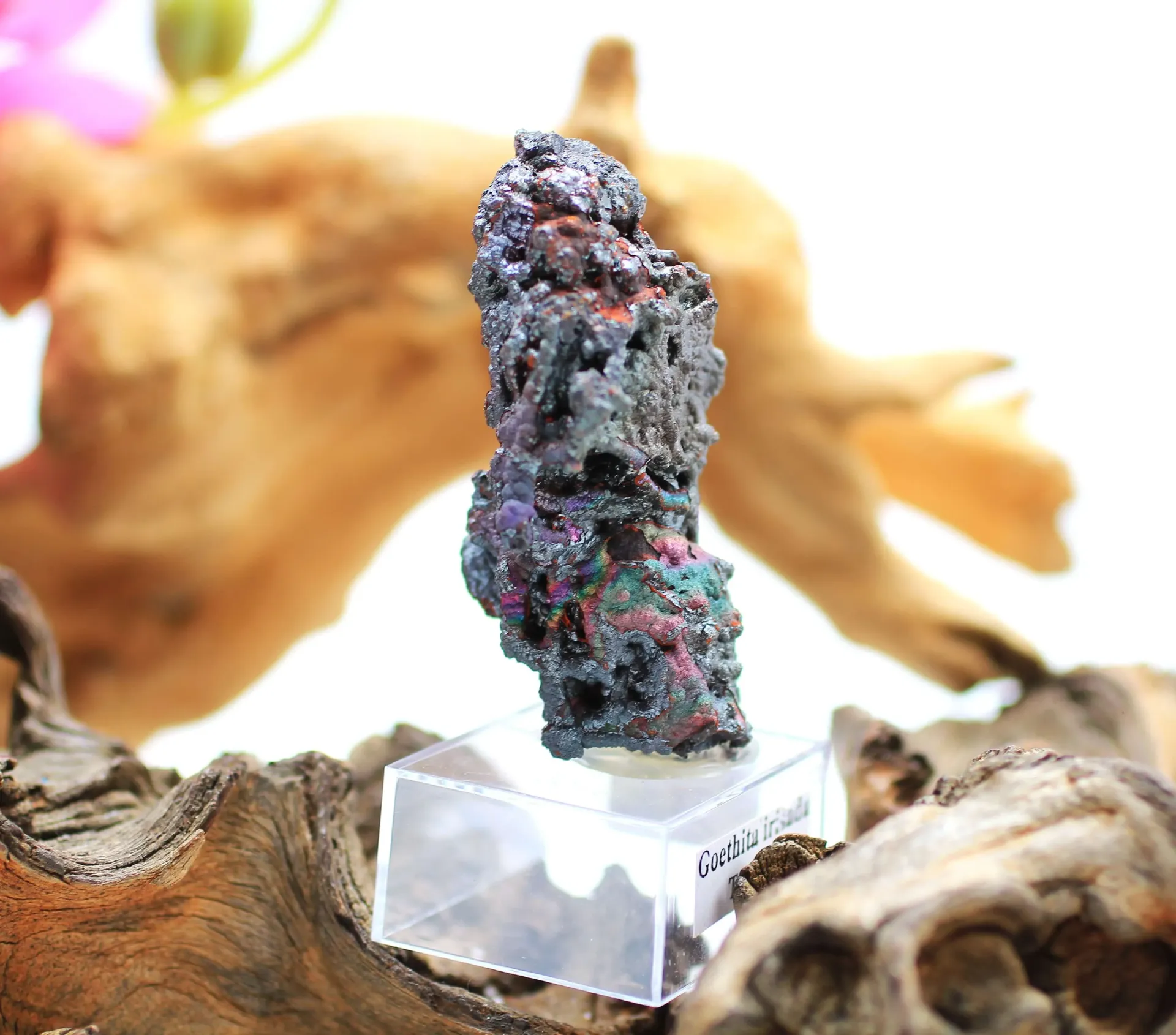 Goethite irisée brute