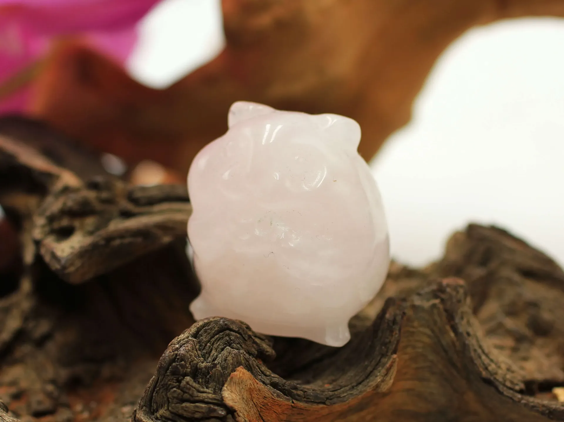 Hamster en Quartz rose