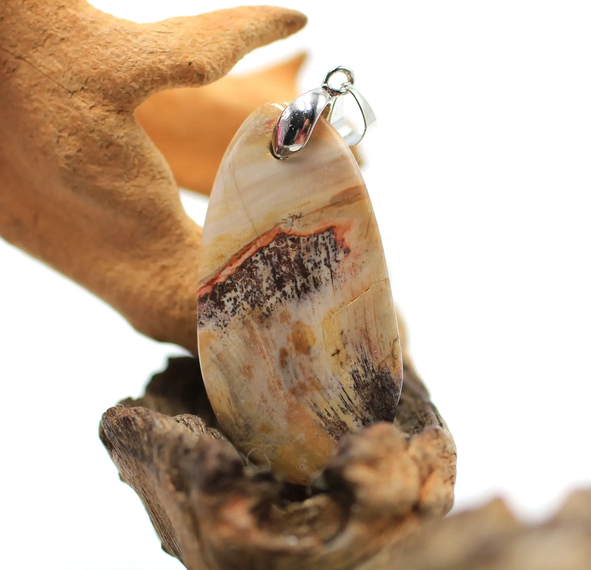 Pendentif ovale en Bois pétrifié