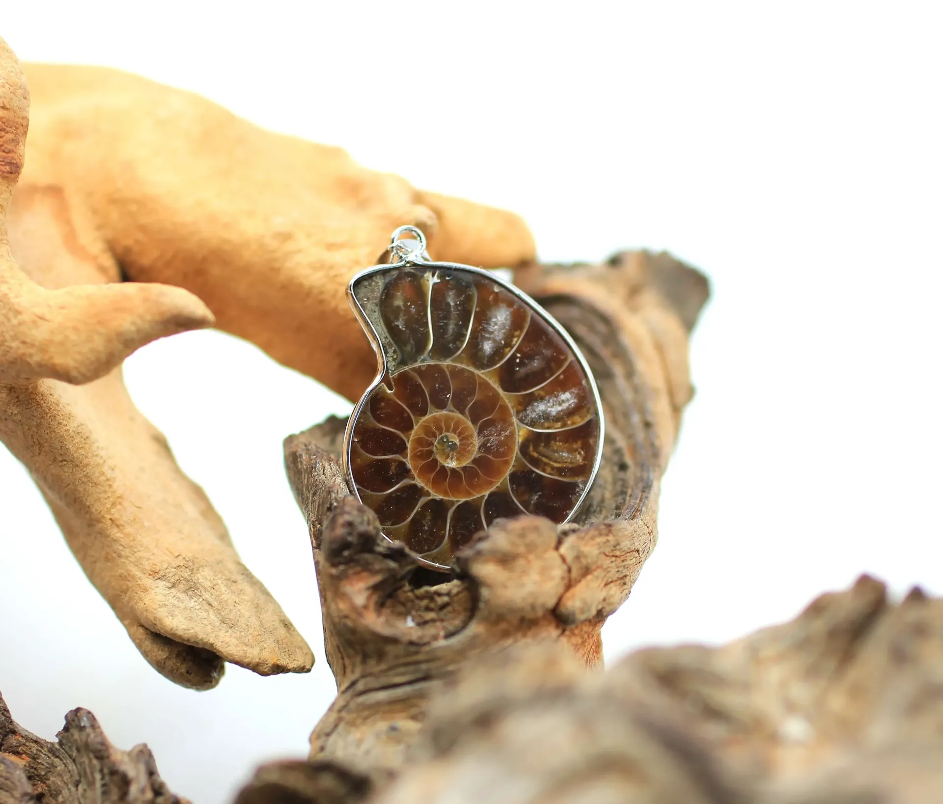 Pendentif en Ammonite