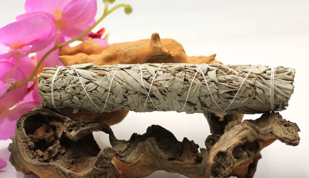 Fagot de sauge blanche