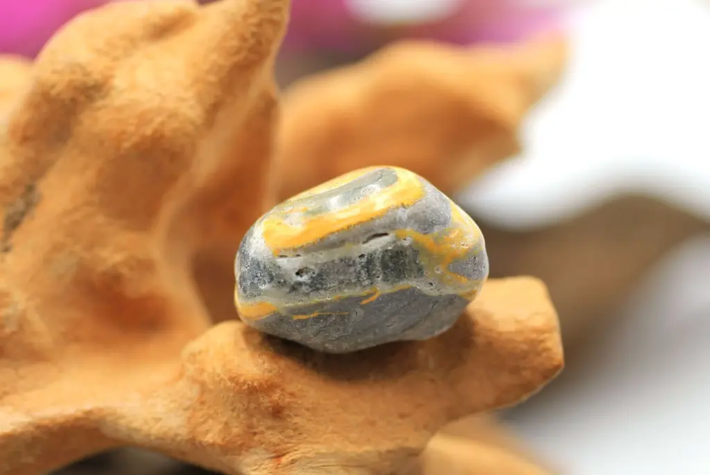 Jaspe bourdon roulé