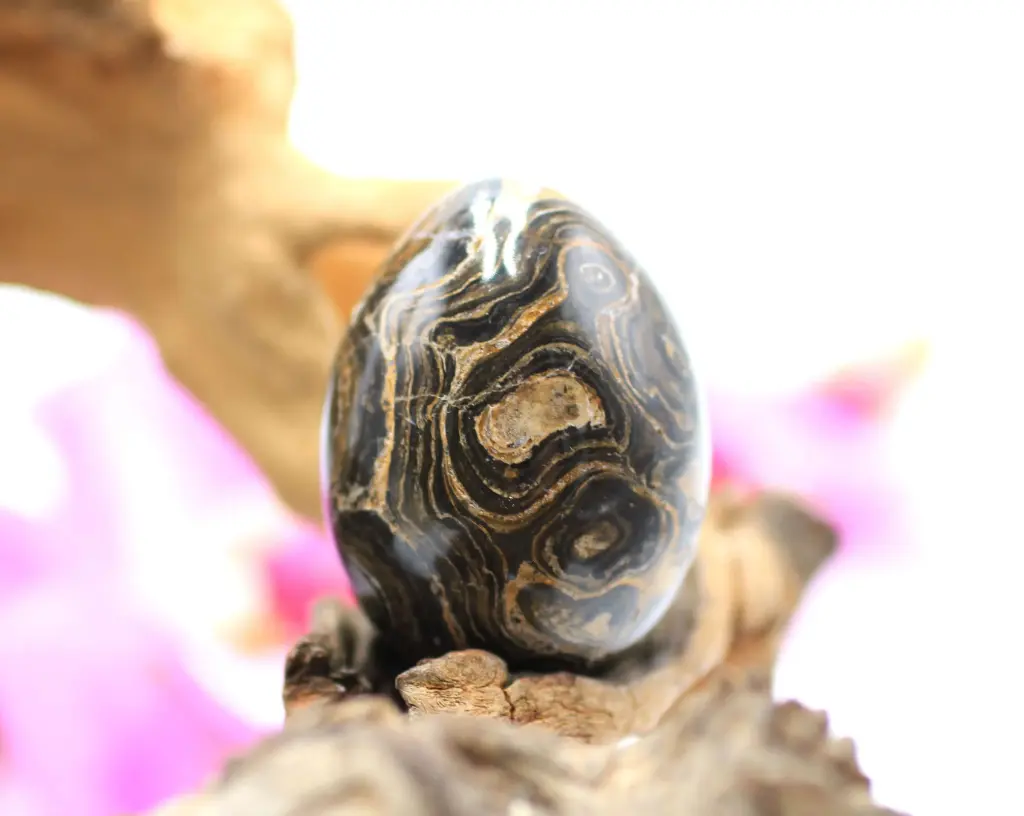 Œuf en Stromatolite