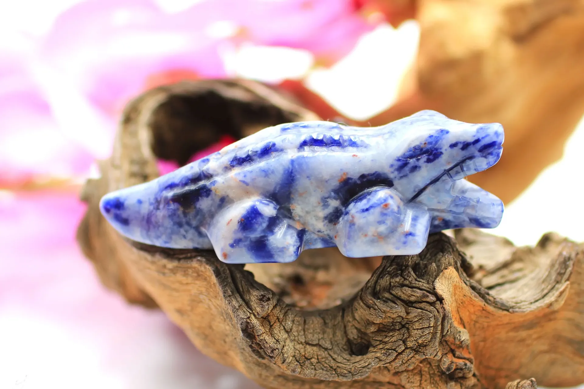 Crocodile en Sodalite