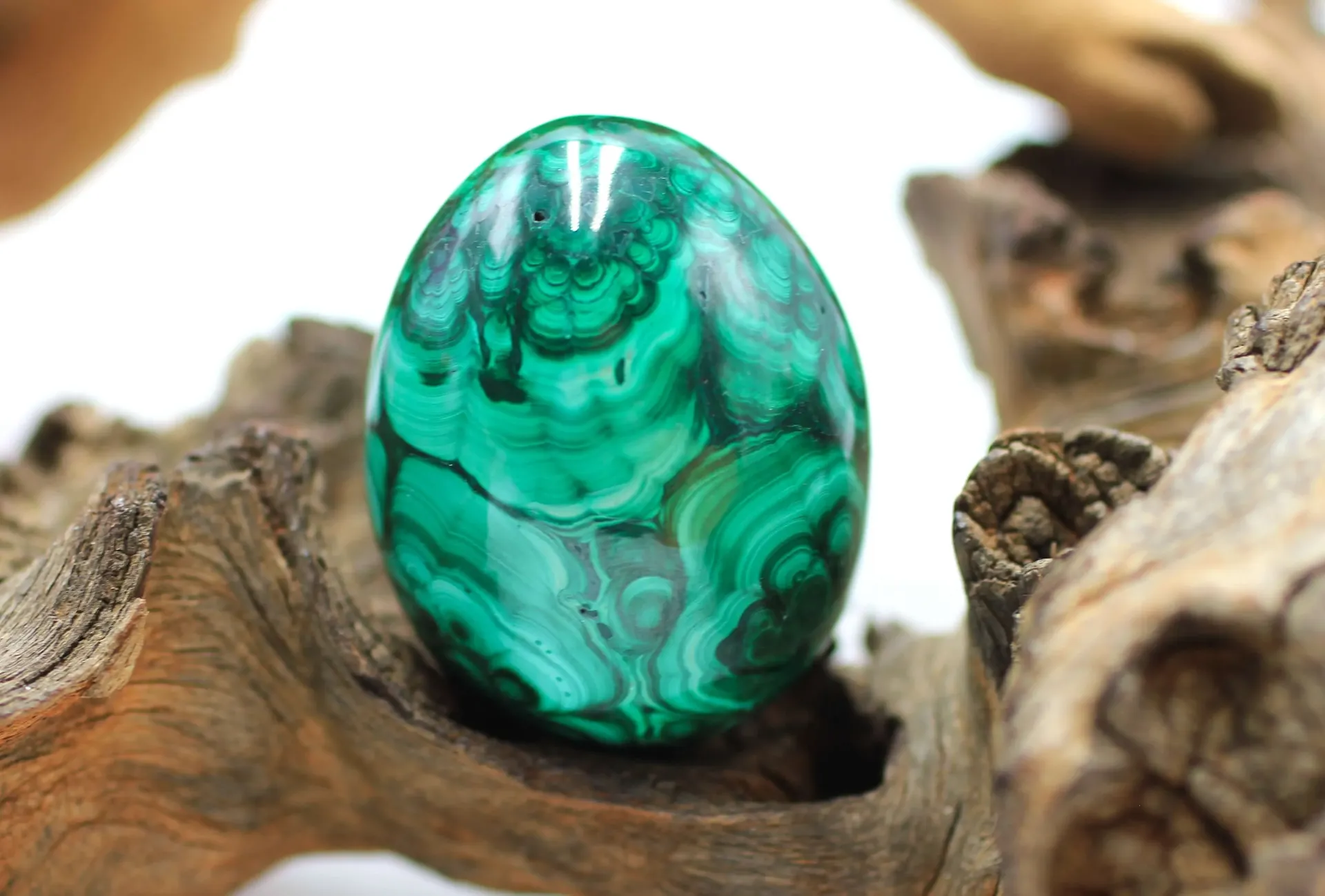 Œuf en Malachite