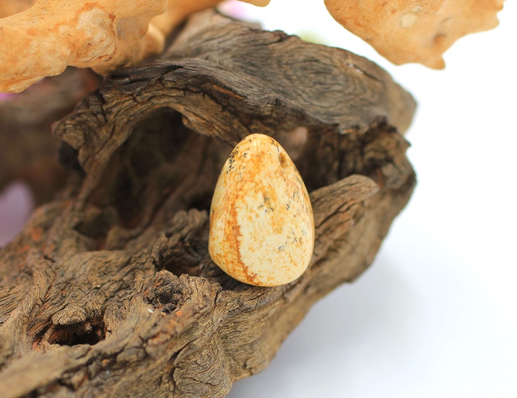 Pendentif foré en Jaspe paysage