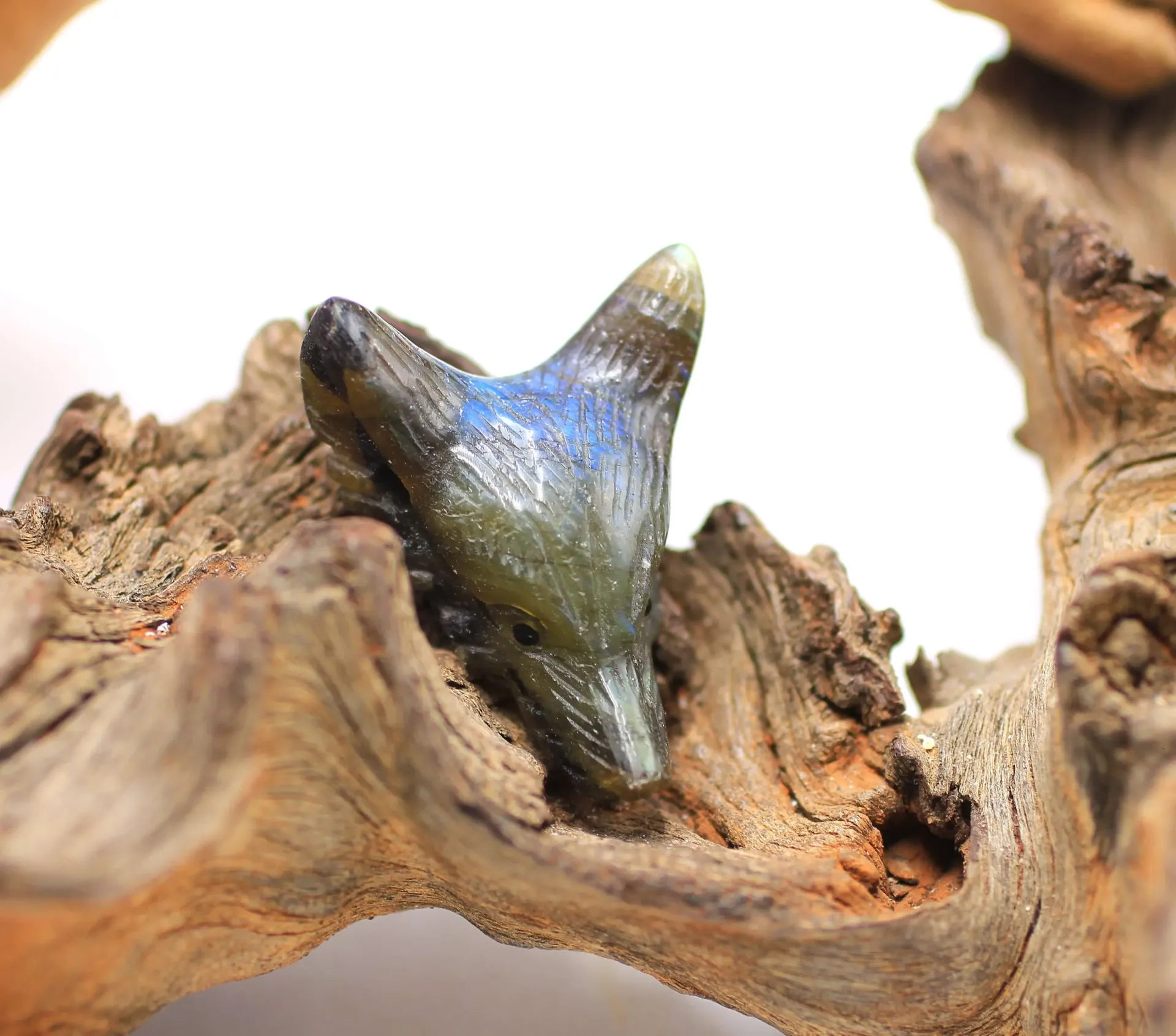 Pendentif foré Tête de loup en Labradorite