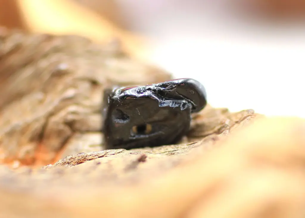 Spinelle noire roulée